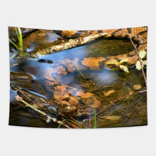 Hypo Northern Cottonmouth Print Tapestry