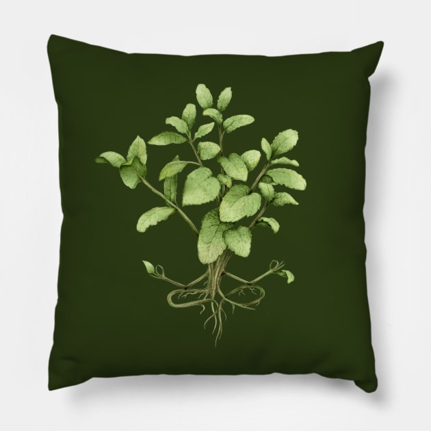 mint plant yoga Pillow by KindSpirits