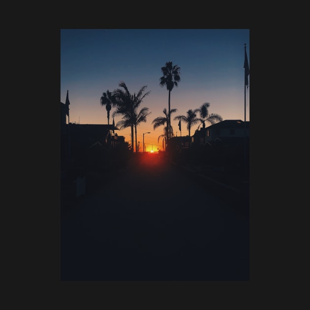 Hermosa Beach Sunset Palms by offdutyplaces