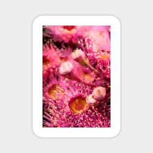 Coral Gum Delight Magnet