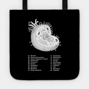 Eukaryotic cell Tote