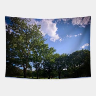 Astoria Park Queens New York City Tapestry