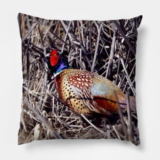 Ring-necked Pheasant Pillow