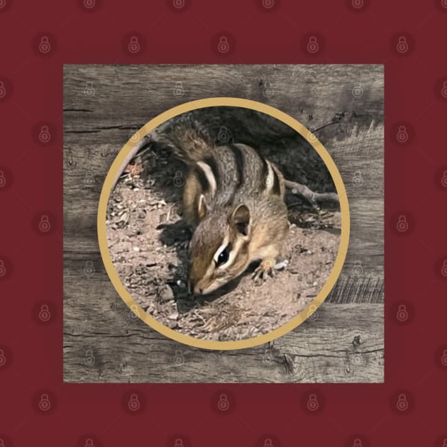 Chipmunk by Dale Preston Design