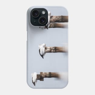 Stillness Phone Case