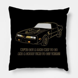 The Bandit Pillow