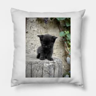 Little black cat Pillow