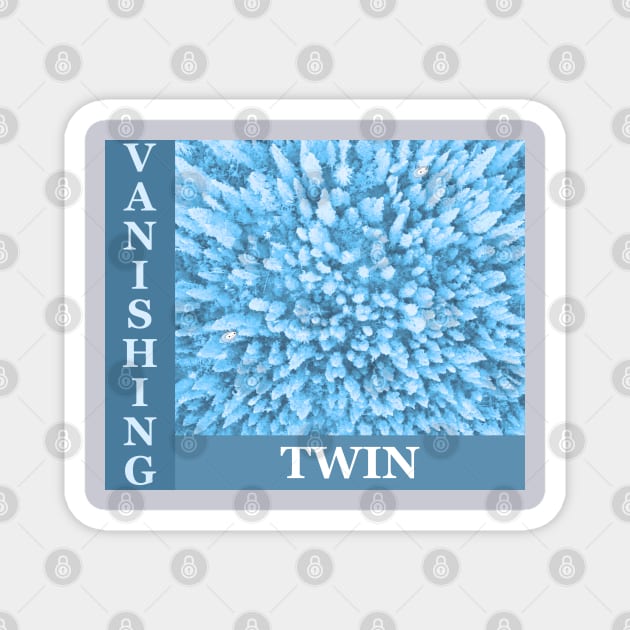 VANISHING TWIN Magnet by Noah Monroe