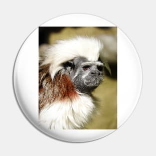 Cotton-top Tamarin Pin