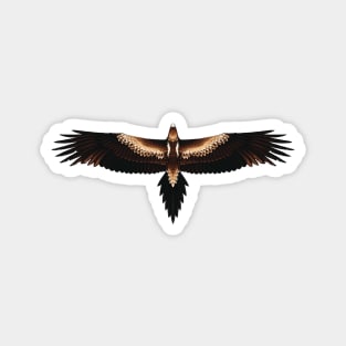 Wedge-Tailed Eagle Magnet