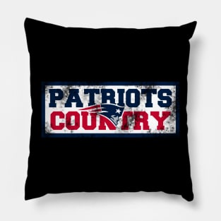 PATS Pillow