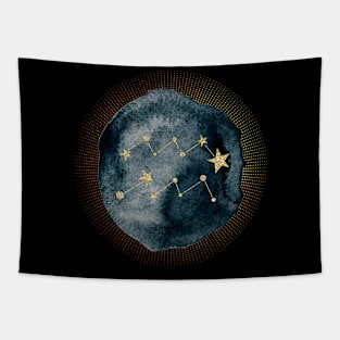 Aquarius Tapestry