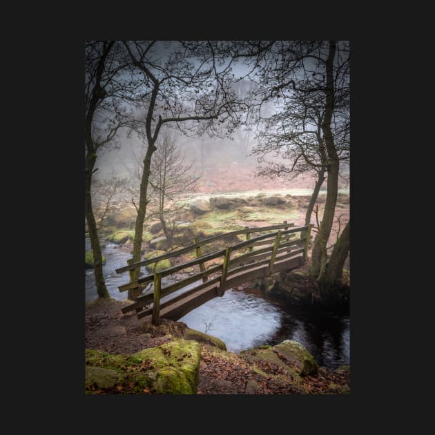 Bridge over a Stream in a Misty Forest by TonyNorth