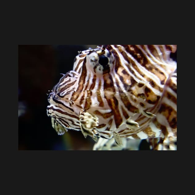 LION FISH by likbatonboot