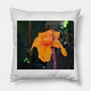 Orange Canna Lily Pillow