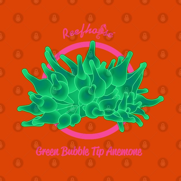 Green Bubble Tip Anemone by Reefhorse