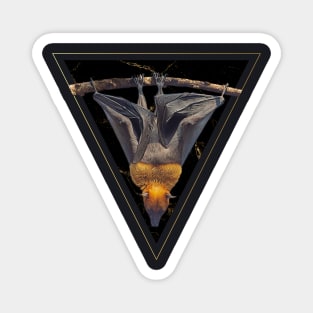 Bat Occupying Golden Triangle- occult goth aesthetic Magnet