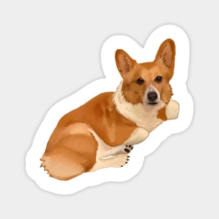 Corgi Dog Relaxing Magnet