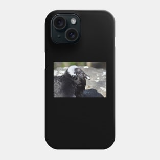 Condor Phone Case