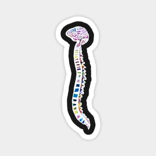 Funfetti Brain and Spine (Dark Pattern) Magnet