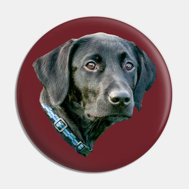 Black Labrador Puppy Pin by dalyndigaital2@gmail.com