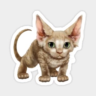 Cat-a-clysm Devon rex kitten Magnet