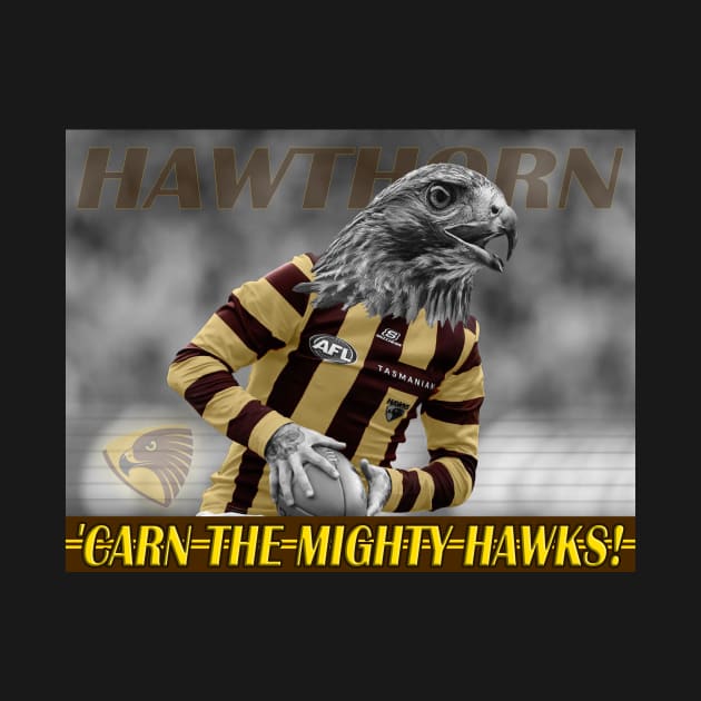 OG AFL - Hawthorn Hawks by OG Ballers