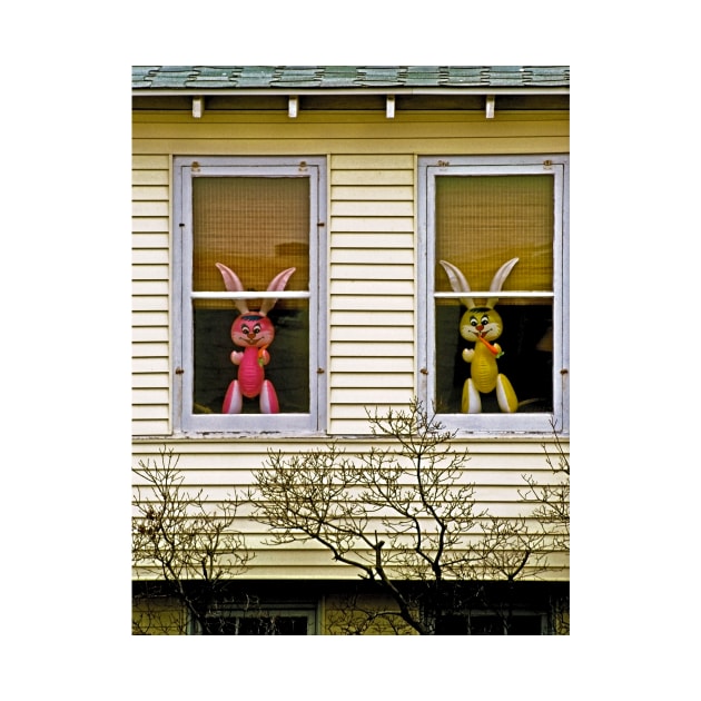 New Jersey Easter Bunnies by markross