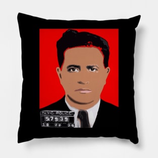 The mad hatter albert anastasia Pillow