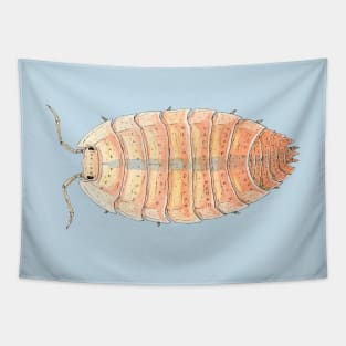 Porcellio scaber "Orange Embers" Isopod Tapestry