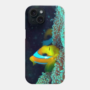 Clownfish in the sea anemone Phone Case