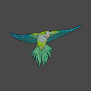 Flying quaker parrot with downy feathers T-Shirt