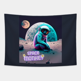 SPACE MONKEY Tapestry