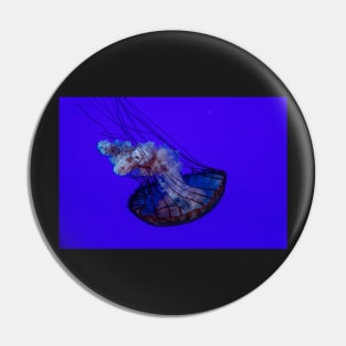 Floating Jellyfish Pin