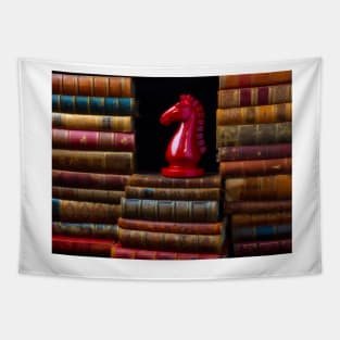 Old Books And Red Knight Tapestry