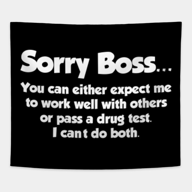 sorry boss i cant work well with others or pass the test t shirt work well with others