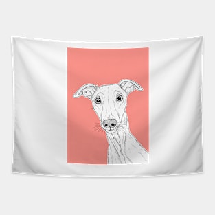 Whippet Dog Portrait ( coral background ) Tapestry