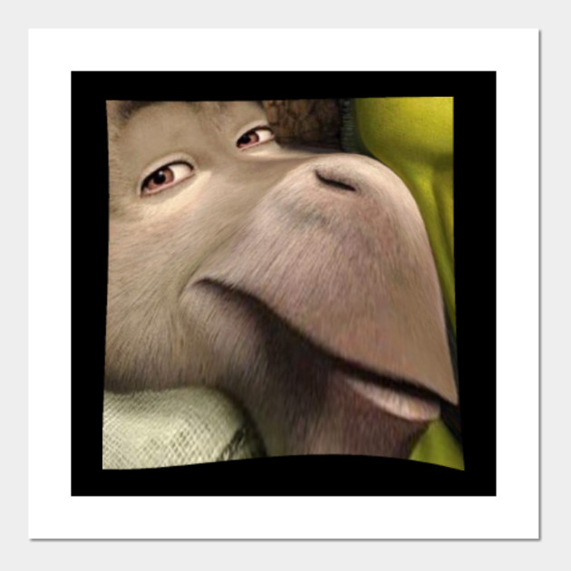 Donkey From Shrek Meme Shrek Affiche Et Impression D Art Teepublic Fr