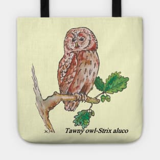 Tawny owl-Strix aluco-night bird Tote