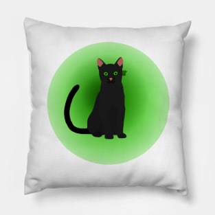 Hollyleaf warrior cat Pillow