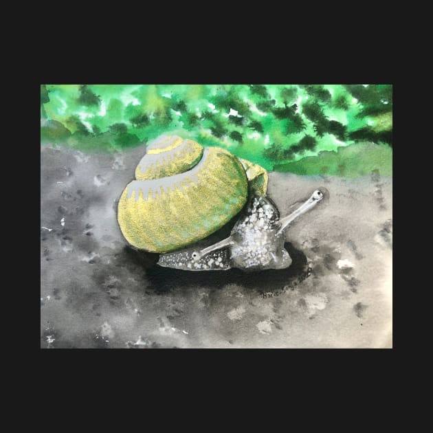 Snail by artmarieso
