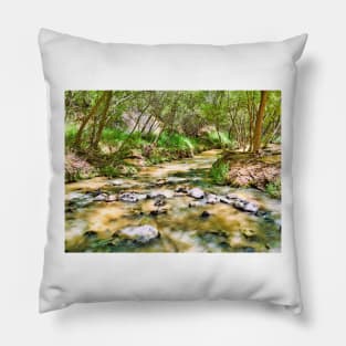 Calf Creek Pillow