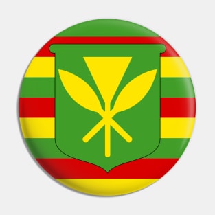 Kanaka Maoli Flag Pin