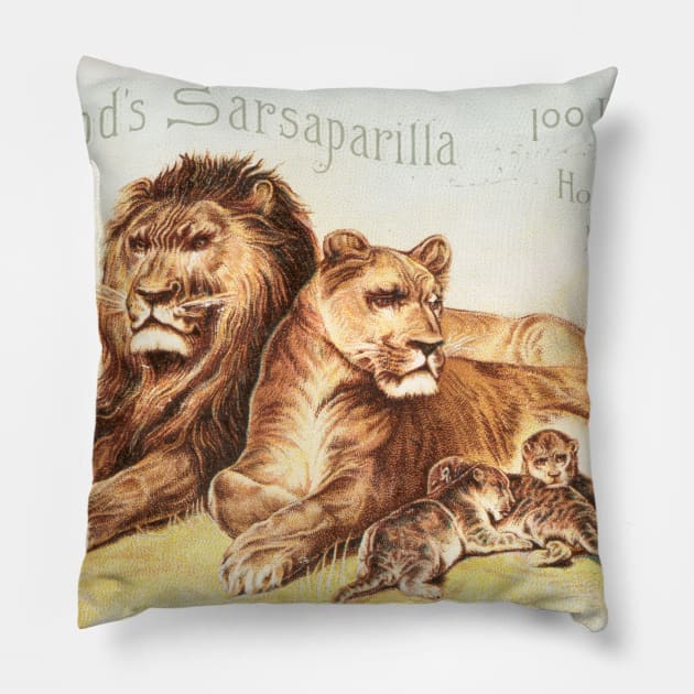 Hood's Sarsaparilla Advertisment Pillow by WAITE-SMITH VINTAGE ART