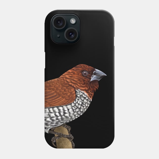 Scaly-breasted Munia | Lonchura punctulata Phone Case by bona 