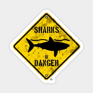 Shark In Danger Magnet