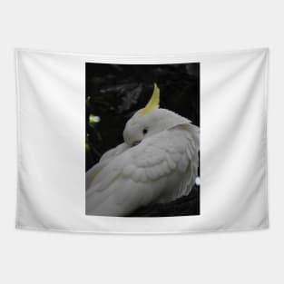 Sulphur Crested Cockatoo Tapestry