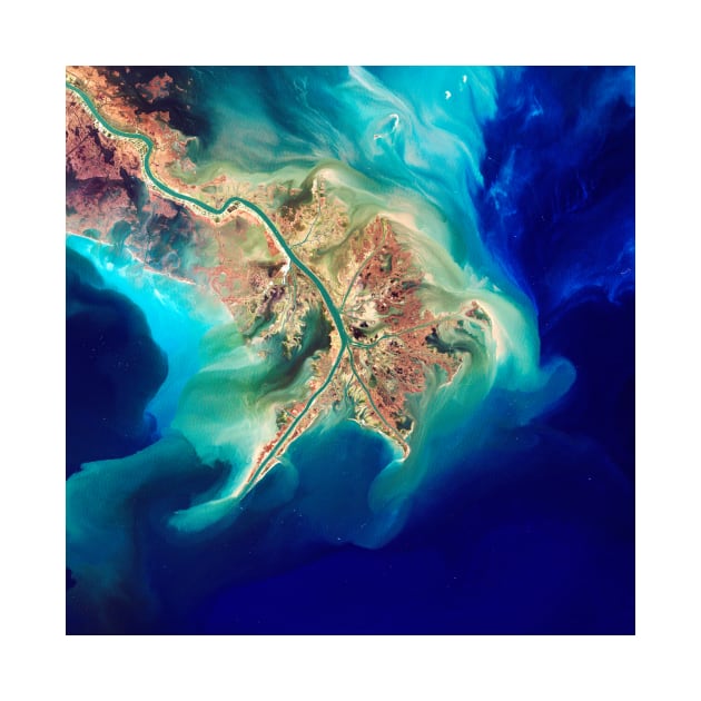 Mouth of the Mississippi, Landsat image (E552/0120) by SciencePhoto