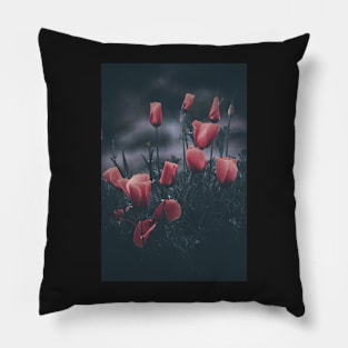 California poppies pink filters Pillow