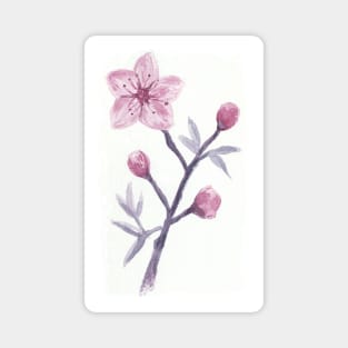 Watercolor Cherry Blossom Branch-- floral design, pastel, hand painted Magnet